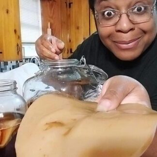 Kombucha Scoby