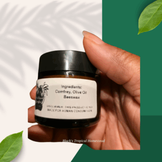 Comfrey Salve